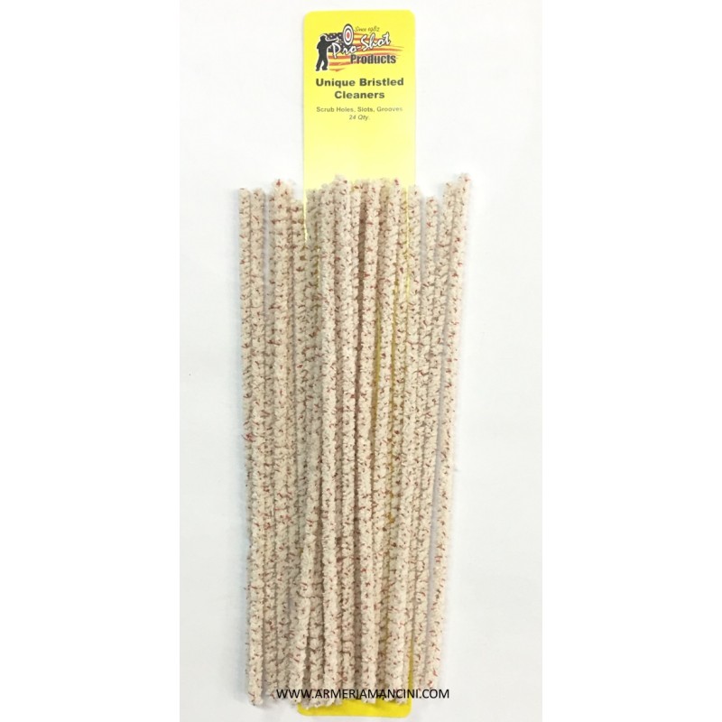 Asta In Bronzo Setolosa