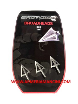 Punte Da Caccia Per Freccia Mon Gr 100