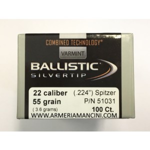 Palle Nosler Ballistic Silvertip Cal 22 Gr 55